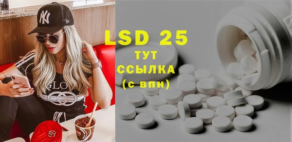стаф Козловка