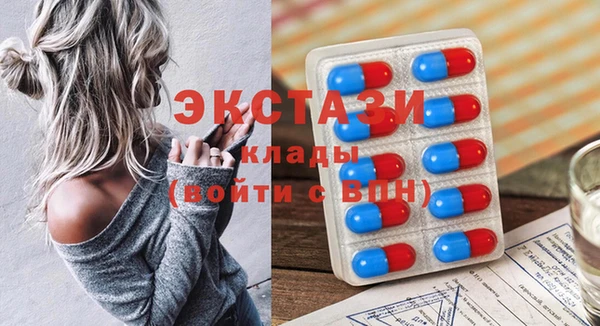 стаф Козловка