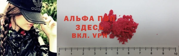 эйфоретик Коряжма